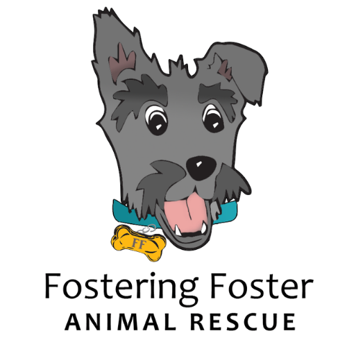 Fostering Foster Animal Rescue